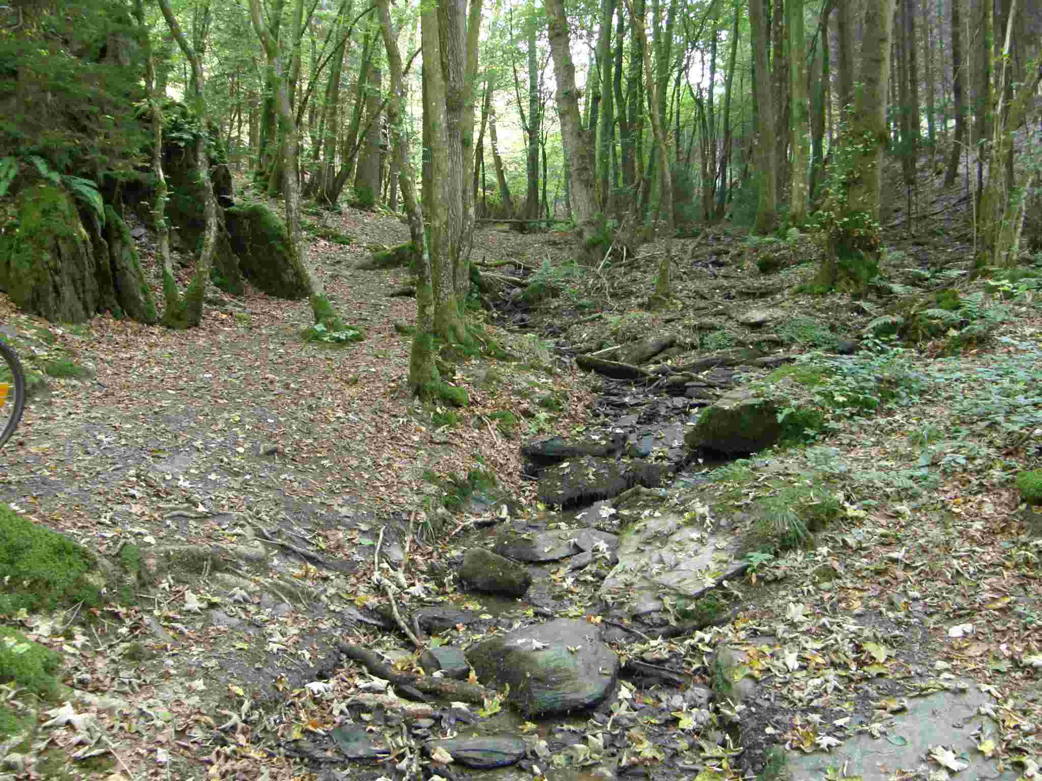 photo 1 promenade Blancs Bois Houffalize